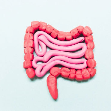 Wie man die Darmflora auf natürliche Weise ins Gleichgewicht bringt oder regeneriert