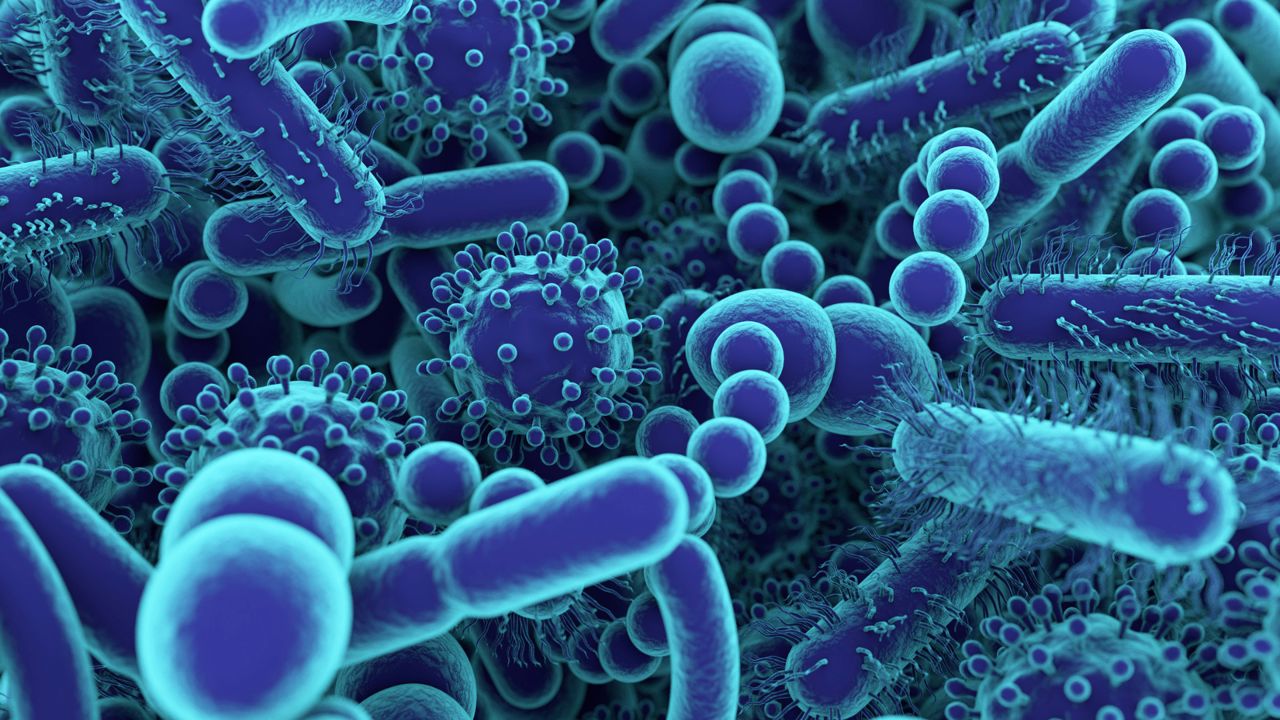 Geheimnisse der Darmgesundheit: Wie Mikrobiota dein Leben beeinflusst!