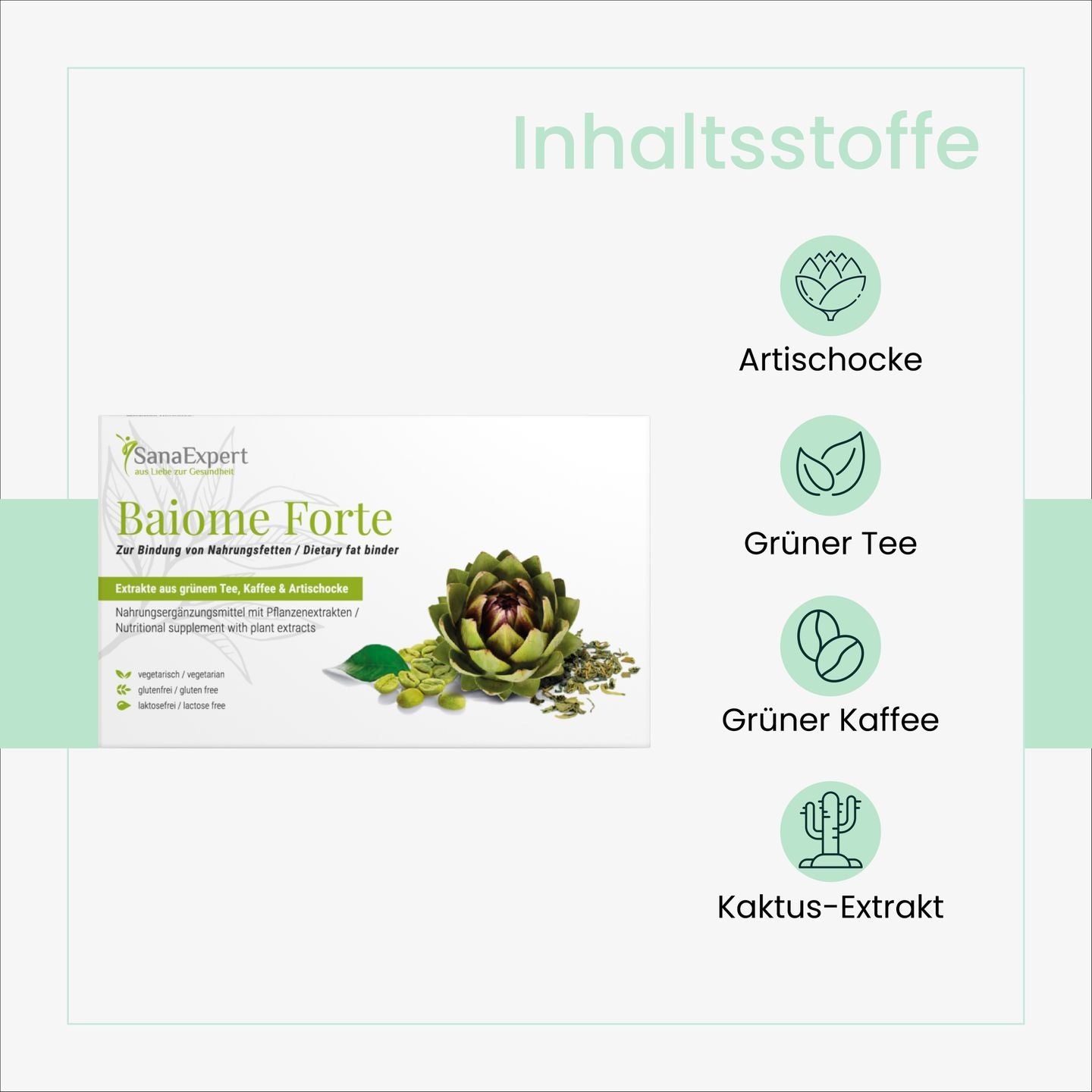 Übersicht der natürlichen Inhaltsstoffe von SanaExpert Baiome Forte, darunter Artischocke, Grüner Tee und Kaktus-Extrakt, visuell dargestellt auf einem klaren Hintergrund.