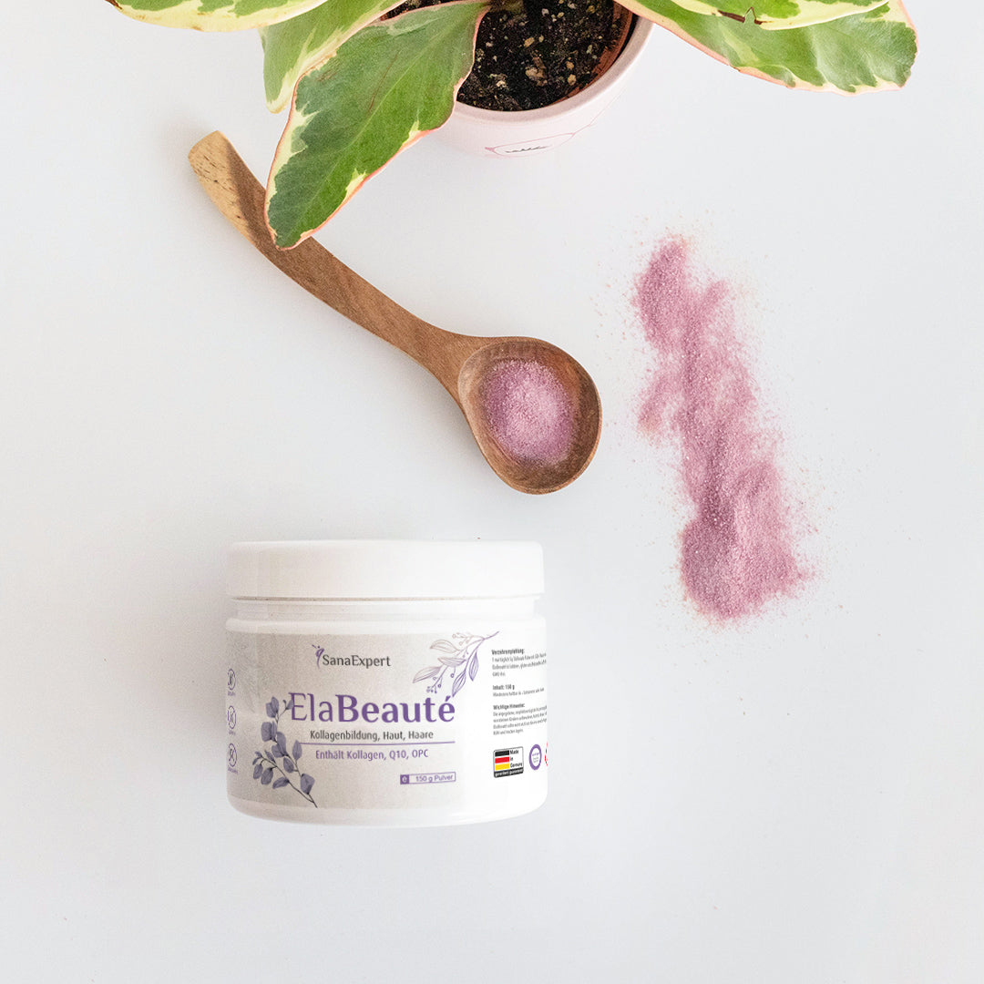 ElaBeaute Kollagenpulverdose neben einem Holzlöffel mit einer Portion des rosafarbenen Pulvers auf weißem Hintergrund, ergänzt durch grüne Pflanzenblätter und eine Spur des Pulvers daneben.