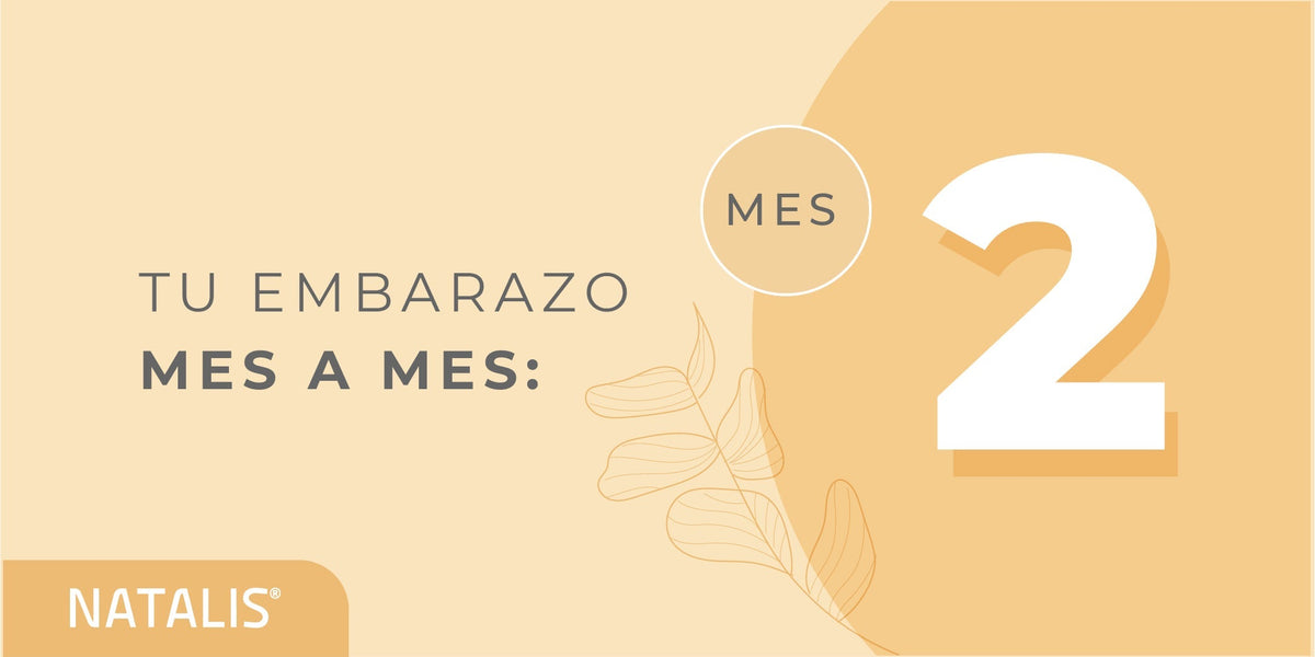 El segundo mes de embarazo: síntomas y desarrollo del bebé