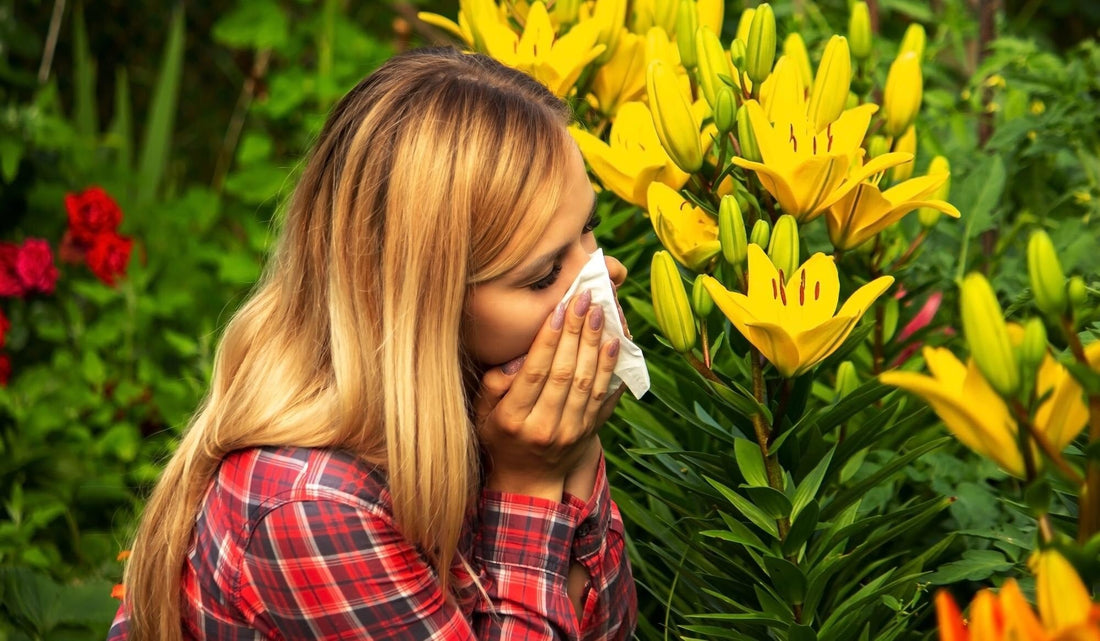 Alergias Primaverales: Comprender las Alergias Estacionales y Cómo Manejarlas Naturalmente