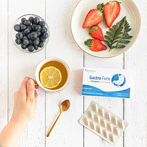 SanaExpert Gastro Forte