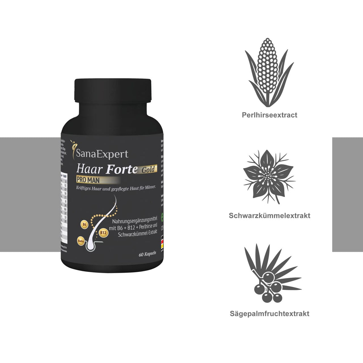 SanaExpert Haar Forte Gold PRO MAN