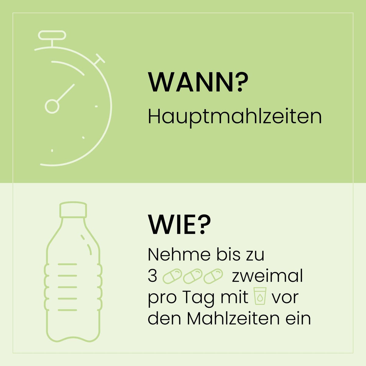SanaExpert Figur Aktiv Einnahmeempfehlung