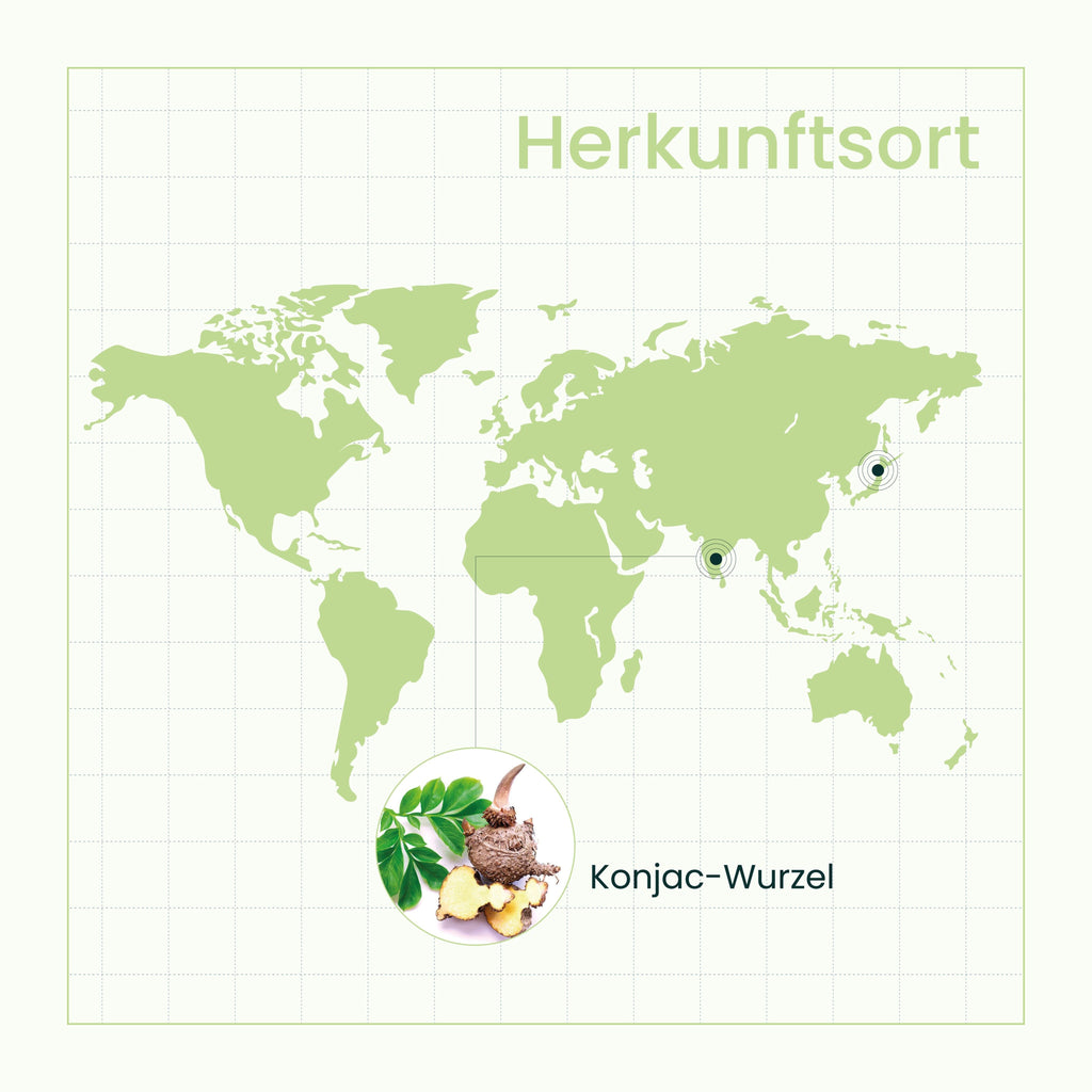 SanaExpert Figur Aktiv Herkunftsort