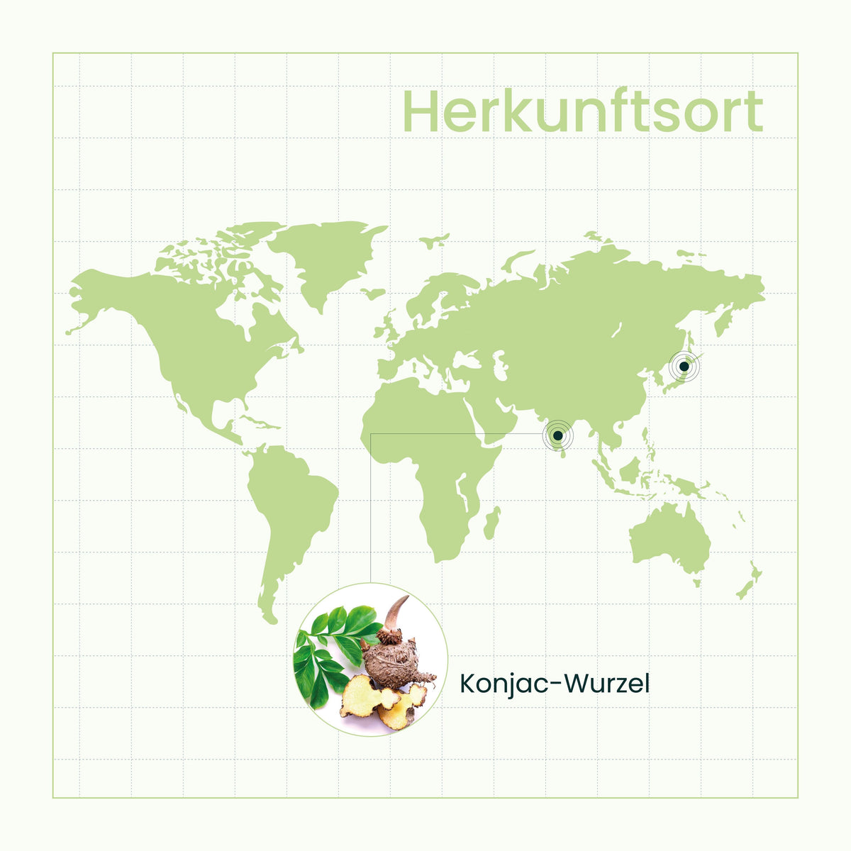 SanaExpert Figur Aktiv Herkunftsort