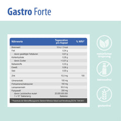 Detaillierte Nährwertangaben von SanaExpert Gastro Forte auf hellblauem Hintergrund, Informationen zu Zink, Ulmenextrakt, Flohsamenschalen und mehr.