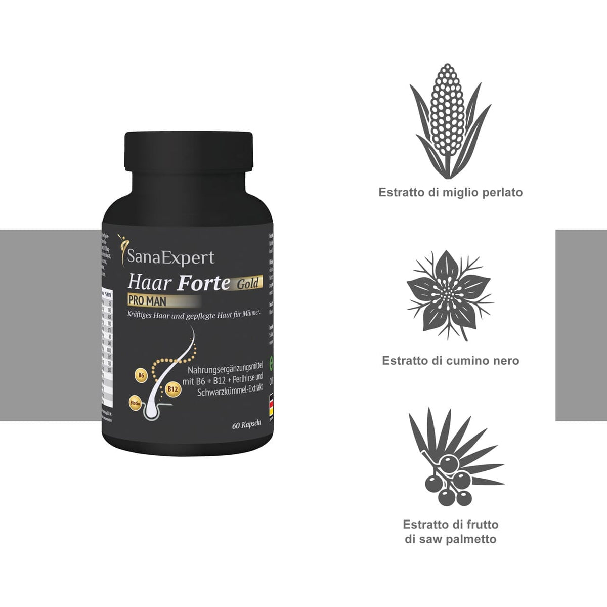 SanaExpert Haar Forte Gold PRO MAN