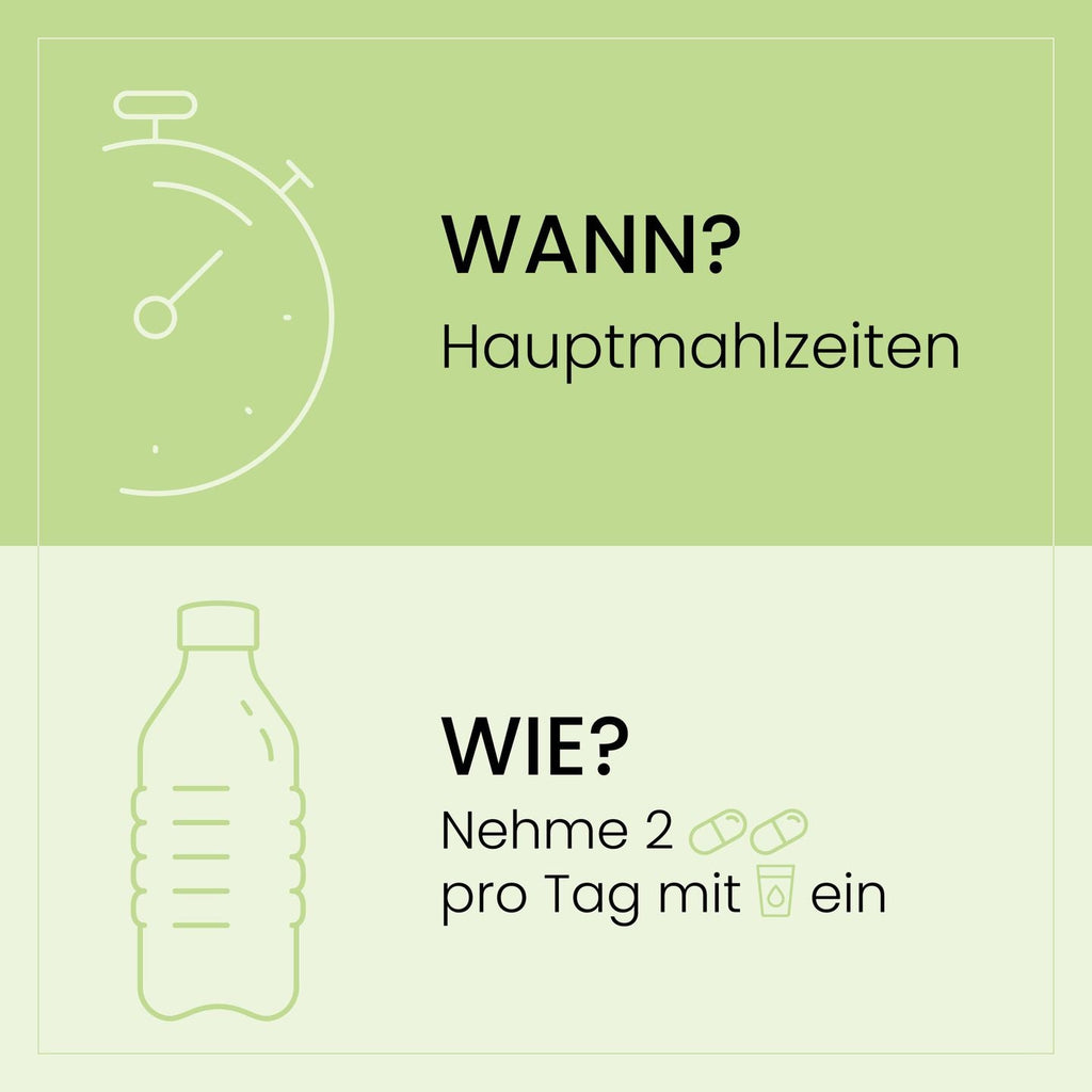 SanaExpert LeberVital Pro Einnahmeempfehlung