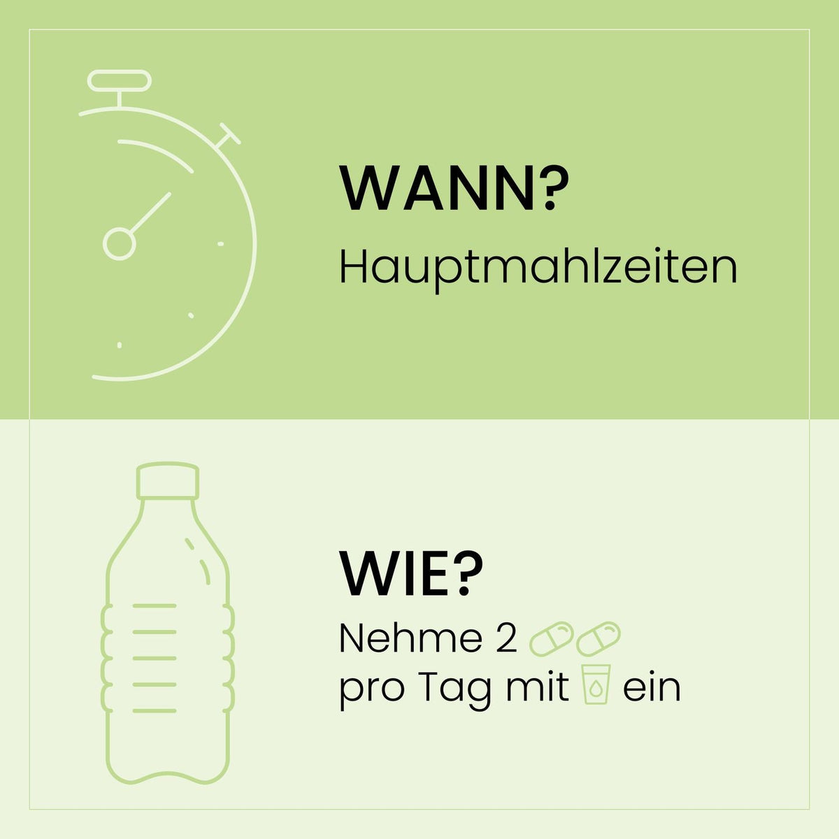 SanaExpert LeberVital Pro Einnahmeempfehlung