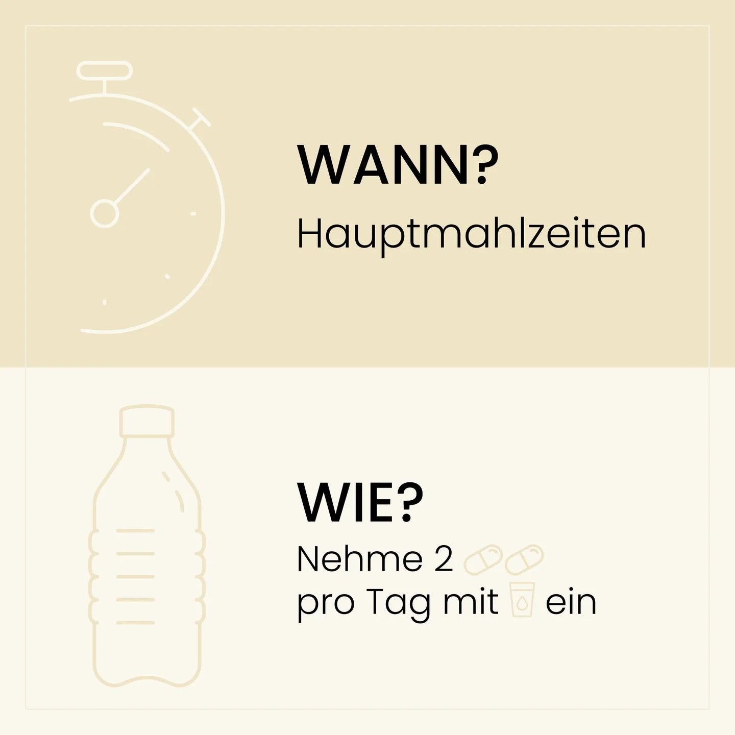 Infografik mit Anweisungen zur Einnahme von zwei Kapseln täglich zu den Hauptmahlzeiten, dargestellt mit einer Grafik einer Flasche und Pillen neben einem Wasserglas.