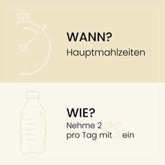 Infografik mit Anweisungen zur Einnahme von zwei Kapseln täglich zu den Hauptmahlzeiten, dargestellt mit einer Grafik einer Flasche und Pillen neben einem Wasserglas.