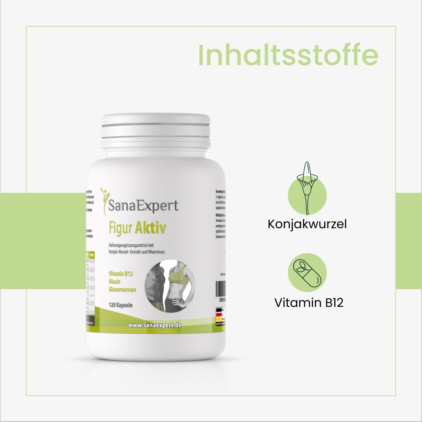 Aufklärungsbild zu den Hauptinhaltsstoffen von Figur Aktiv, mit Schwerpunkt auf Konjakwurzel und Vitamin B12, gestaltet in schlichtem Weiß und Grün.
