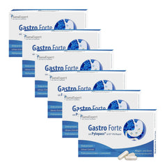 Sechs Packungen von SanaExpert Gastro Forte auf weißem Hintergrund mit sichtbaren Kapseln.