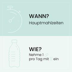 Grafik mit Einnahmehinweisen für Gastro Forte, zeigt eine Uhr und eine Wasserflasche und empfiehlt eine Kapsel täglich zu den Hauptmahlzeiten.