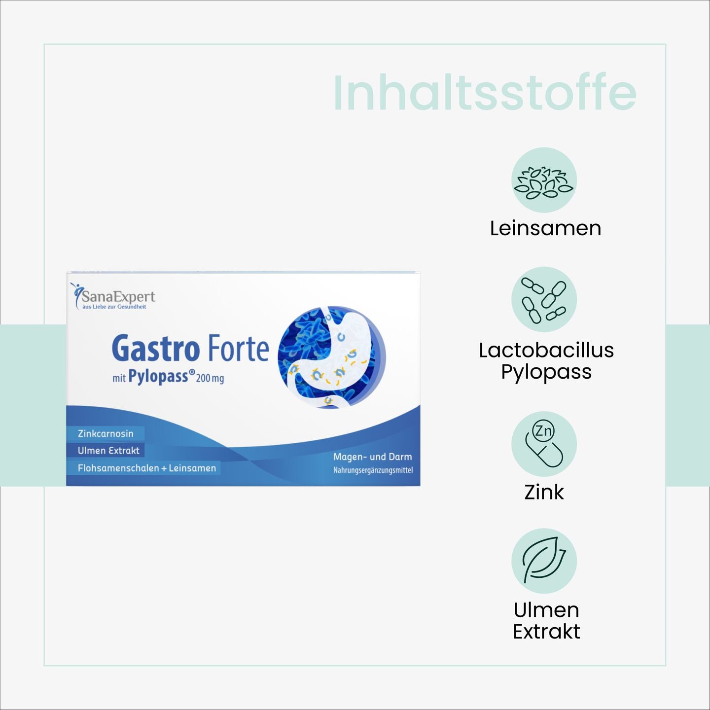 Packung von SanaExpert Gastro Forte mit Auflistung der Inhaltsstoffe wie Leinsamen, Lactobacillus Pylori, Zink und Ulmenextrakt.