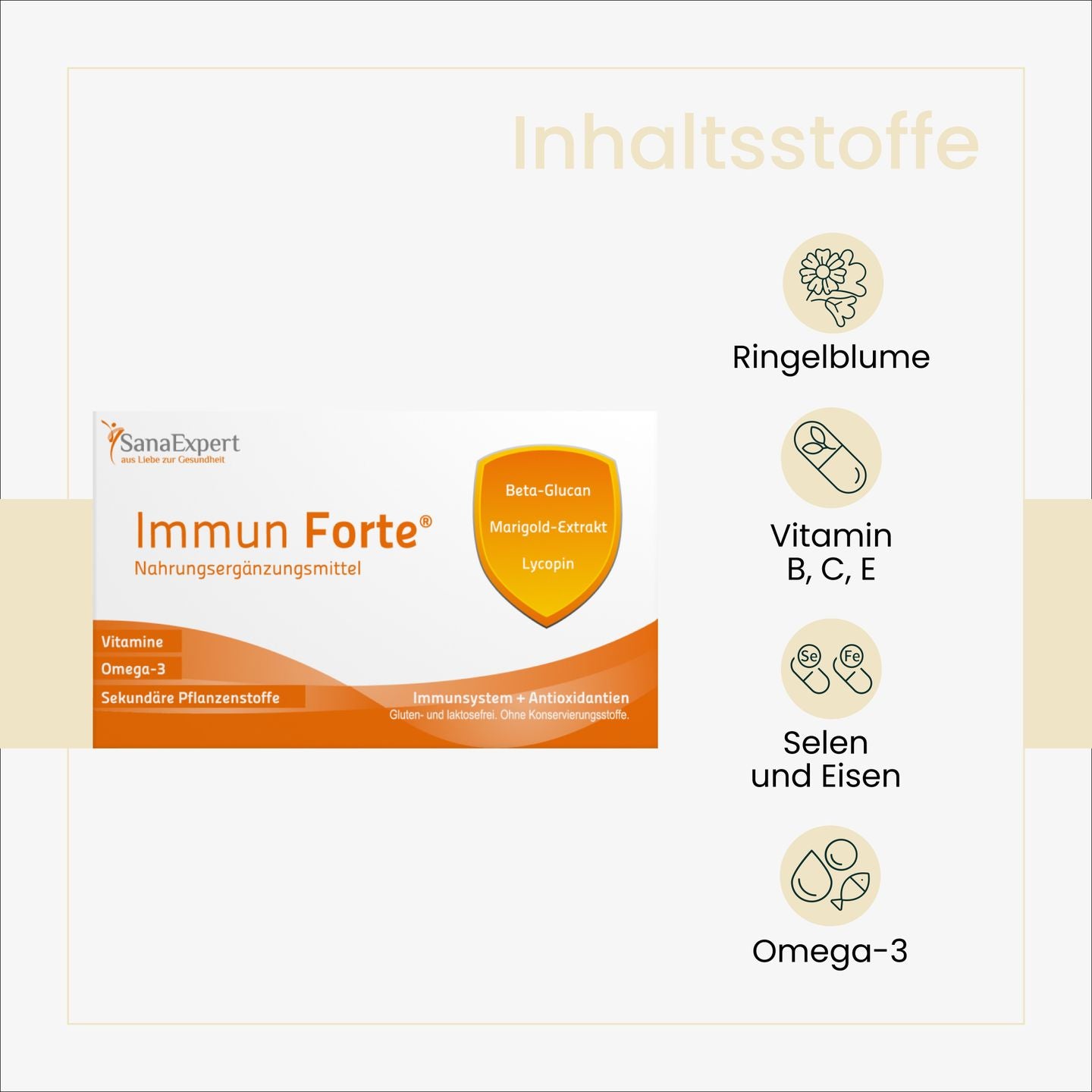 Informationsgrafik über die Inhaltsstoffe von SanaExpert Immun Forte, darunter Ringelblume und Omega-3, betont die natürlichen Komponenten des Nahrungsergänzungsmittels.