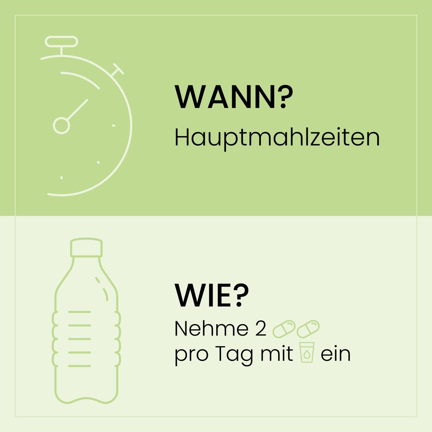 Grafische Darstellung mit Hinweisen zur Einnahme von LeberVital Pro, „WANN: Hauptmahlzeiten“ und „WIE: Nehme 2 Kapseln pro Tag mit Wasser ein“ auf grünem Hintergrund.
