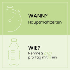 Grafische Darstellung mit Hinweisen zur Einnahme von LeberVital Pro, „WANN: Hauptmahlzeiten“ und „WIE: Nehme 2 Kapseln pro Tag mit Wasser ein“ auf grünem Hintergrund.