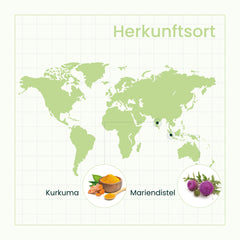 Weltkarte mit Markierungen zum Herkunftsort der Inhaltsstoffe von LeberVital Pro, hervorgehobene Kurkuma und Mariendistel auf der Karte.