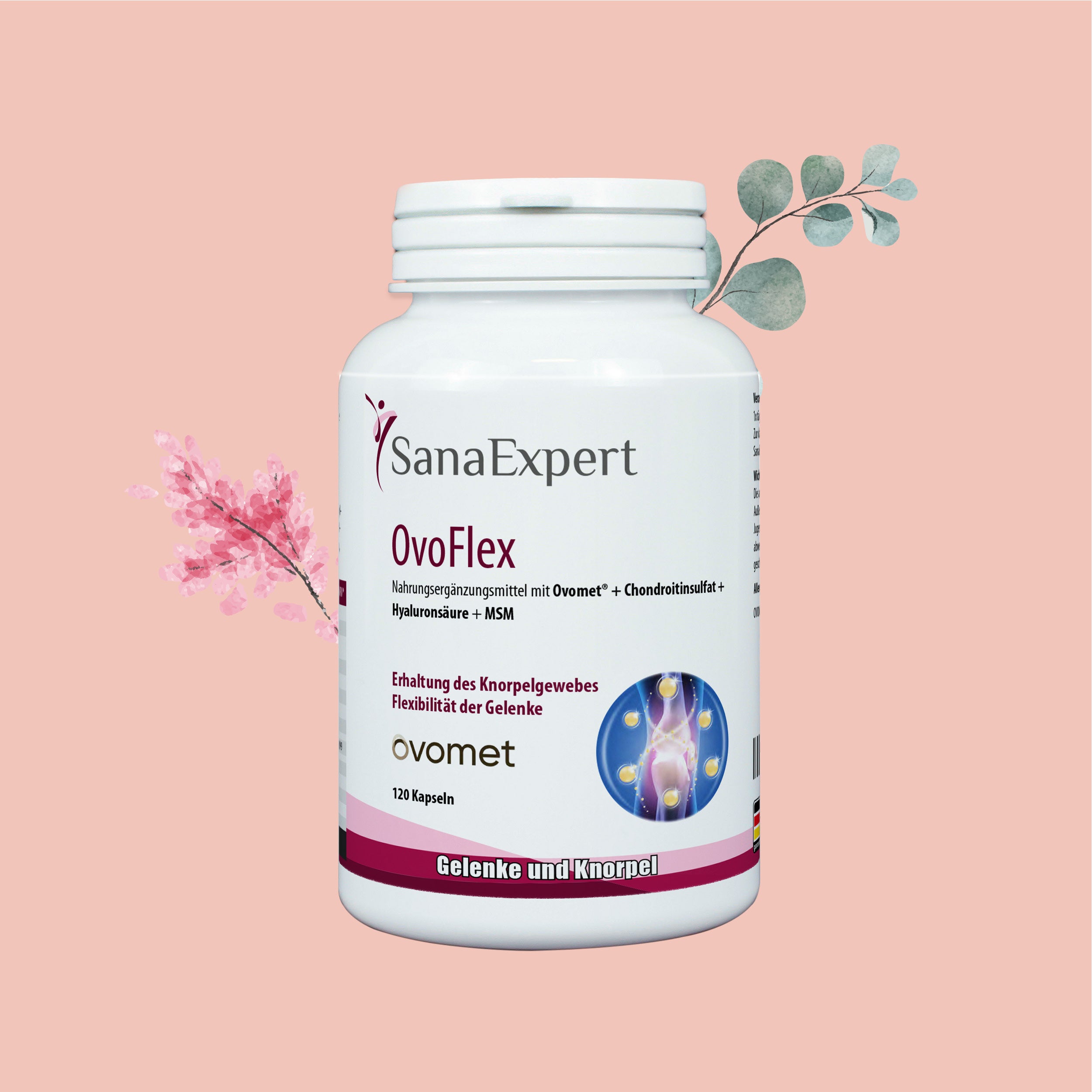 Ein weißes Gefäß von SanaExpert OvoFlex Nahrungsergänzungsmittel auf einem rosa Hintergrund, umgeben von sanften Naturtönen und Pflanzenelementen.